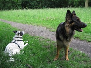 k-parkmitlana 023.jpg