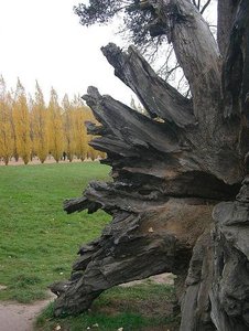 Sommer Herbst 2007 237.JPG