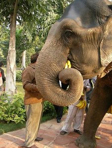 Sommer Herbst 2009 213.JPG