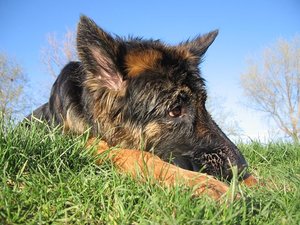 k-ostern2010neckar 036.jpg