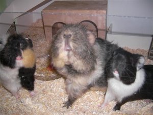 SANY0452 (Small).JPG