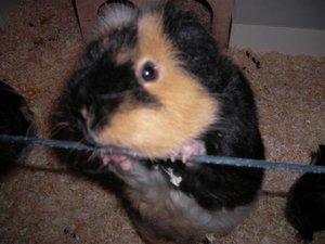 SANY0457 (Small).JPG