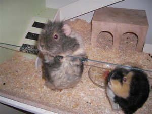 SANY0458 (Small).JPG