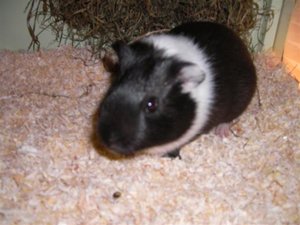 SANY0462 (Small).JPG