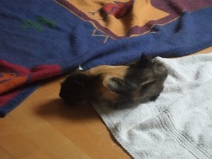 Meeri Bilder 008.jpg