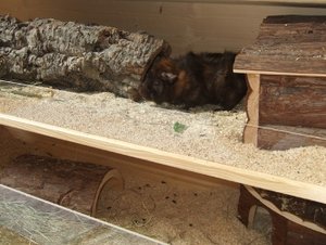 Meeri Bilder 020.jpg