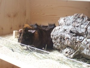 Meeri Bilder 025.jpg