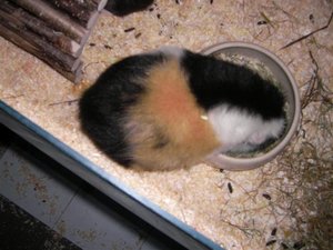 SANY0521 (Small).JPG