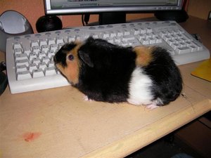 SANY0190 (Small).JPG