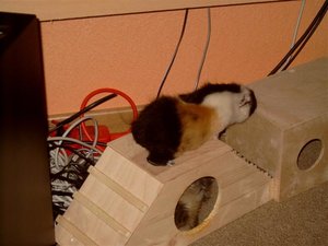 J4100094 (Small) (2).JPG