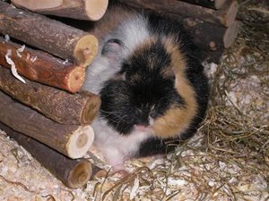 SANY0528 (Small).JPG