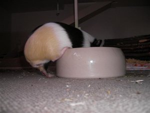 SANY0543 (Small).JPG