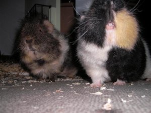 SANY0547 (Small).JPG