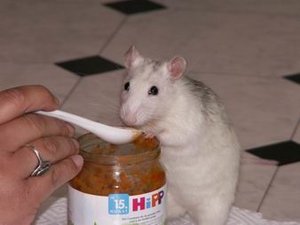 GrÃ¶ÃŸenÃ¤nderung PICT3496.JPG