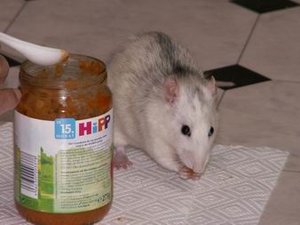 GrÃ¶ÃŸenÃ¤nderung PICT3495.JPG