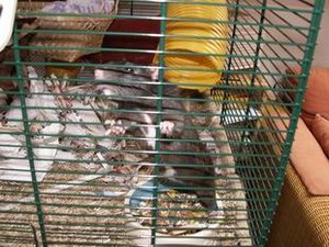 GrÃ¶ÃŸenÃ¤nderung PICT3505.JPG