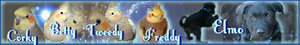 kathrin22Banner4.jpg