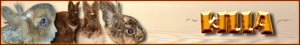 KillaBanner1.jpg