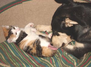 PÃ¼nktchen putzt Mira.jpg