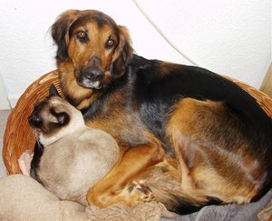 Malka mit Aljoscha im Korb.jpg