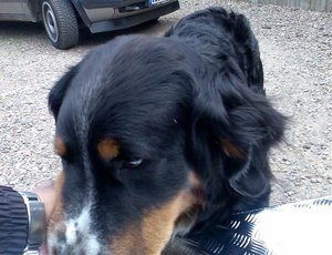 Bild023 modified.jpg