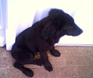 0_IMAGE_00031 modified.jpg