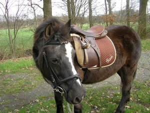 Resi FrÃ¼hjahr 001.JPG