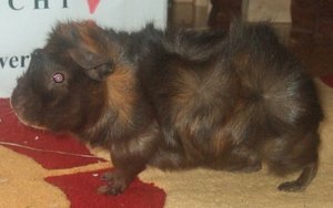 Meeri Bilder neu (2).jpg