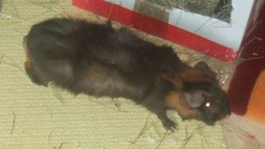 Meeri Bilder 017.jpg