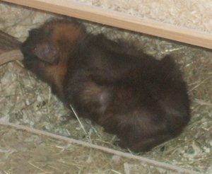 Meeri Bilder 023.jpg