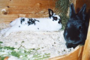 Julchen und Alexi.jpg