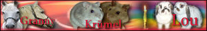 KrÃ¼melBanner1.jpg