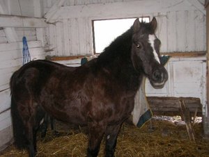 Resi FrÃ¼hjahr 014.JPG