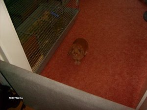 nickelzimmer 001.jpg