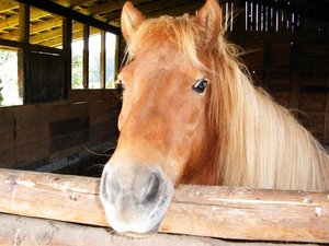 16.09.2007 007klein.jpg