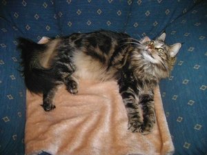 Neu 005.JPG Neu 005.JPG