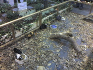 September 07 031.jpg