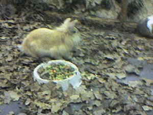 September 07 034.jpg