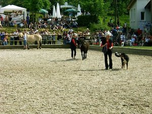 seitwÃ¤rtslaufen 1.JPG