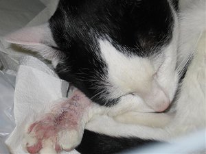 nach der OP 20.10.07 012.jpg