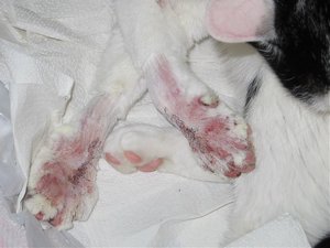 nach der OP 20.10.07 013.jpg