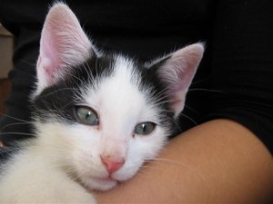 01_ohhhh! 17.1.06 IMG_0028.jpg