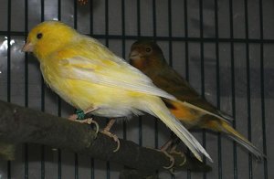 Kopie von CIMG2176.JPG