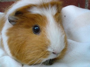 Kamerabilder 260.jpg