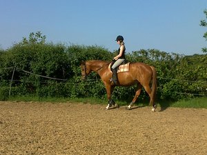 suanda&sirius dressur 049.jpg