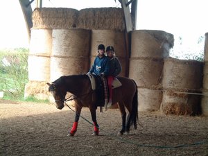 pferde+voltige' april08 164.JPG