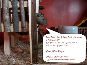 Einladung Mäusechat1.jpg Einladung Mäusechat1.jpg