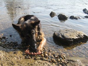 k-sonntagallerosiwasser 019.jpg