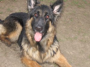 k-jimmyrosistudio 060.jpg