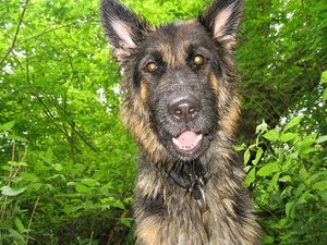 k-parkmitlana 060.jpg